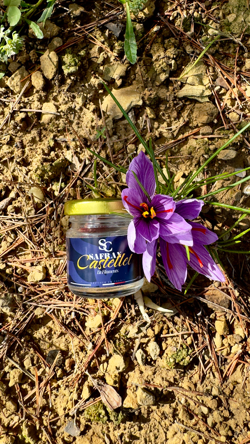 Safran en Filaments 0,50gr