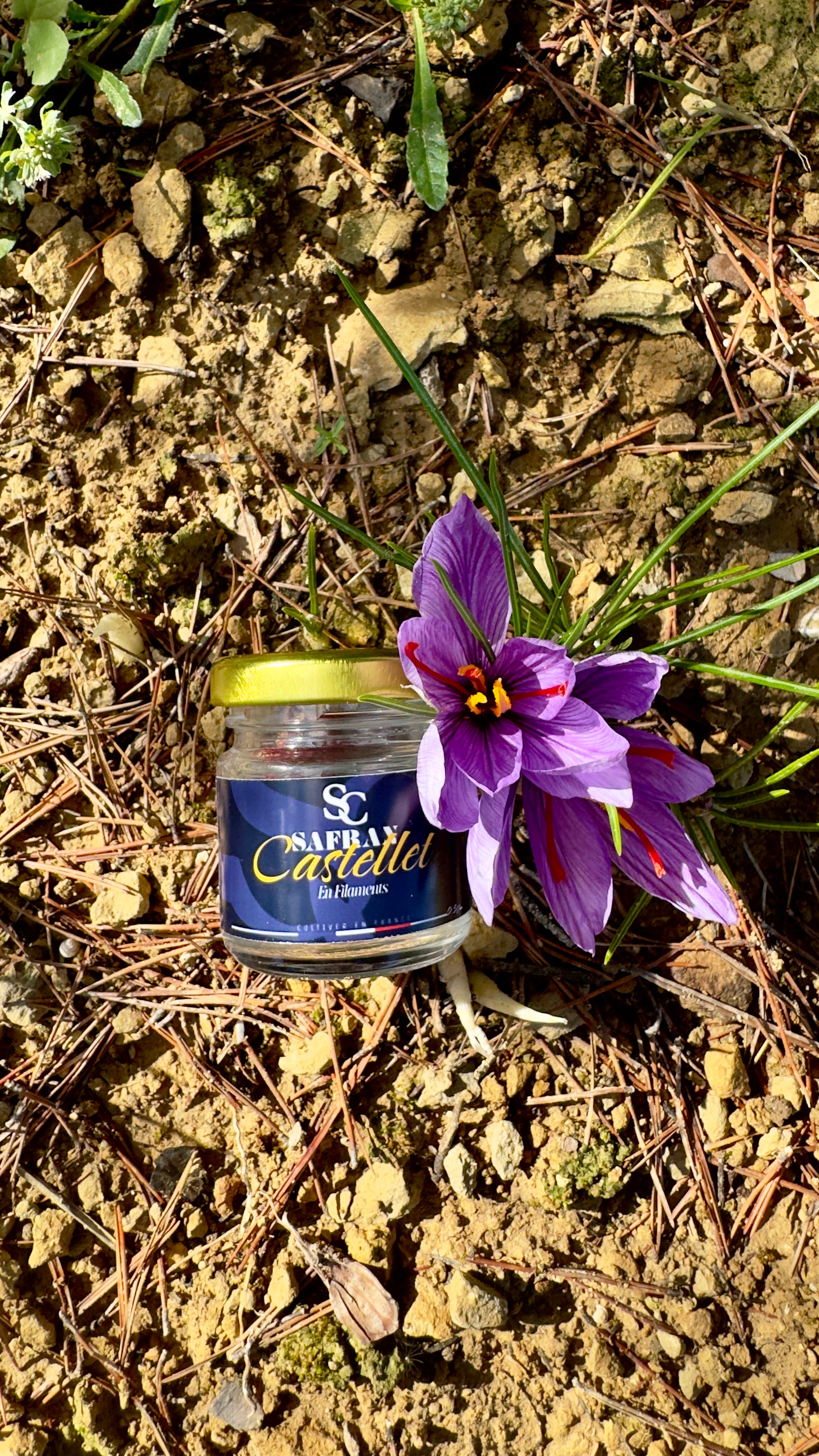 Safran en Filaments 0,50gr