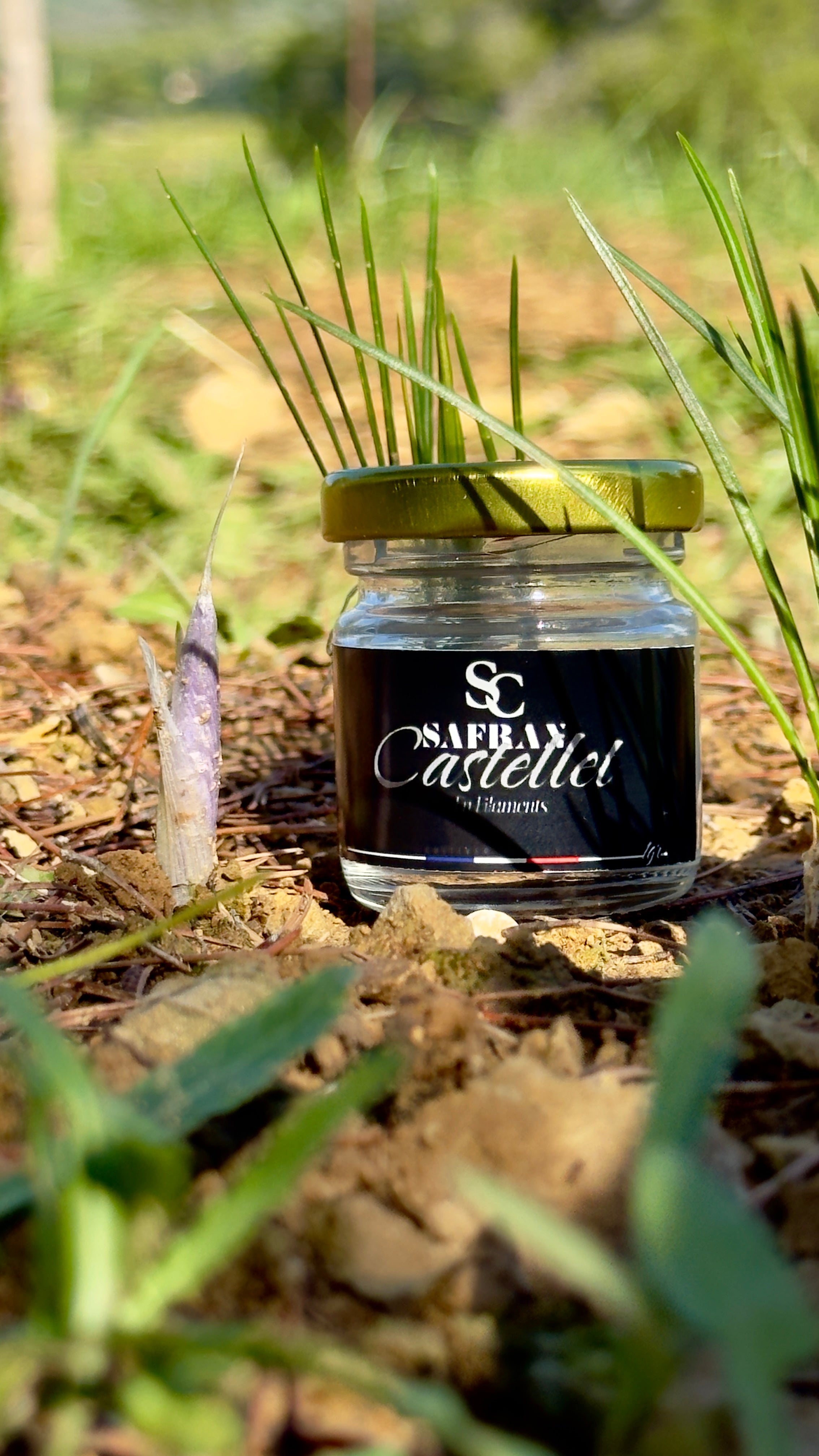 Safran en Filament 1gr