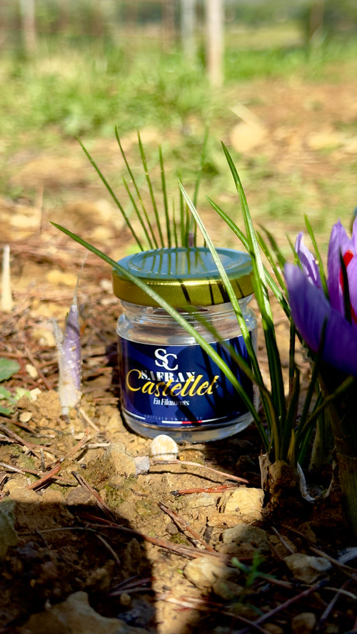 Safran en Filaments 0,50gr