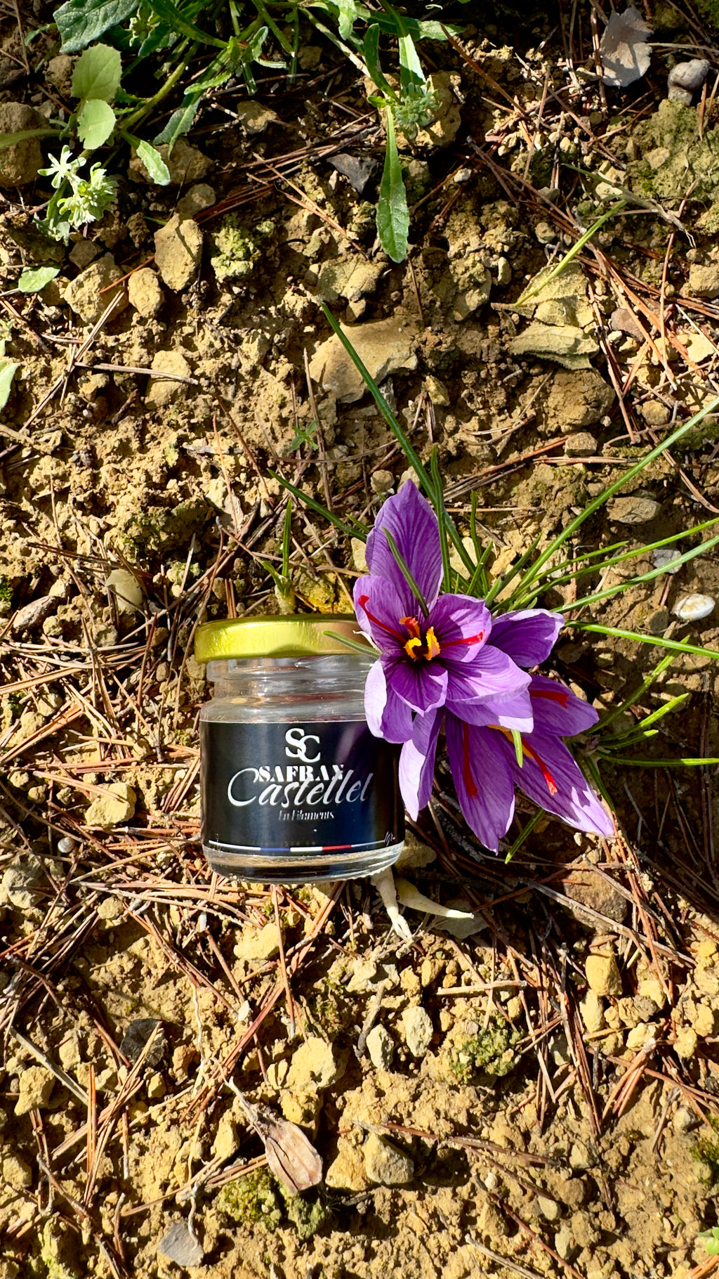 Safran en Filament 1gr