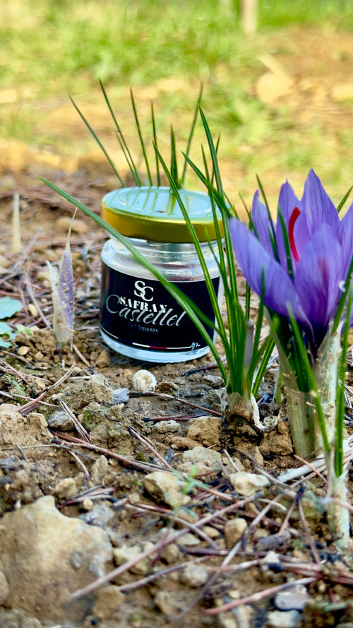 Safran en Filament 1gr